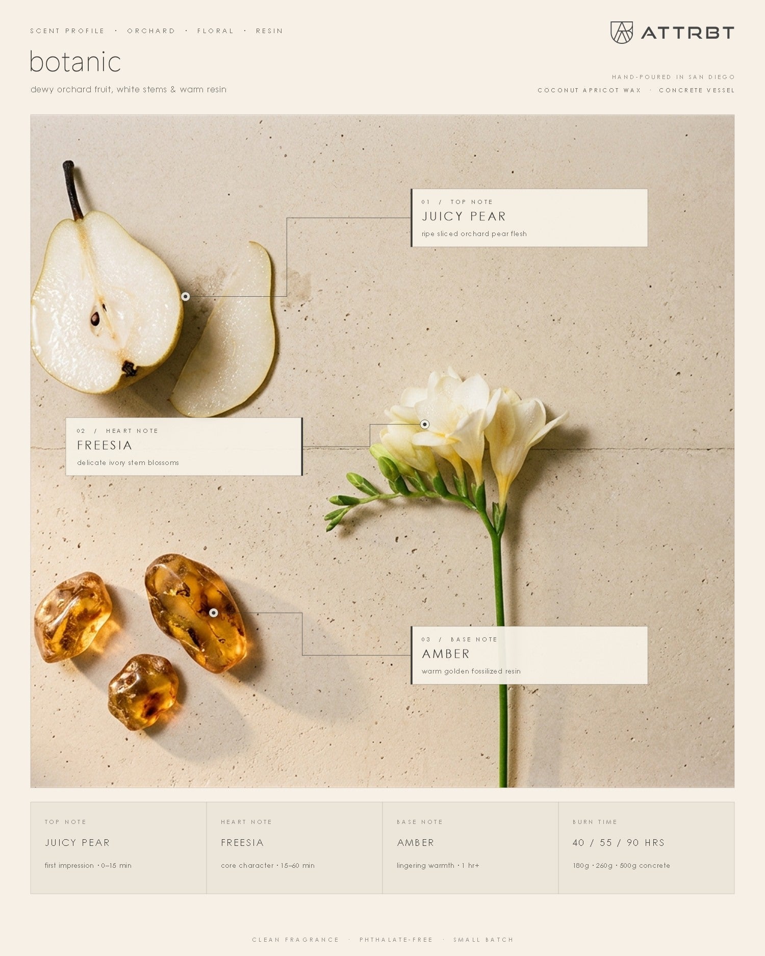ATTRBT botanic scent profile — top note juicy pear, heart note freesia, base note amber