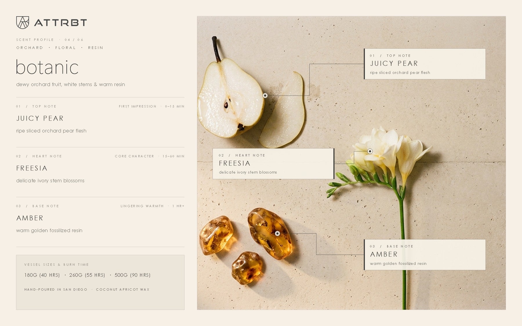 ATTRBT botanic scent profile — top note juicy pear, heart note freesia, base note amber