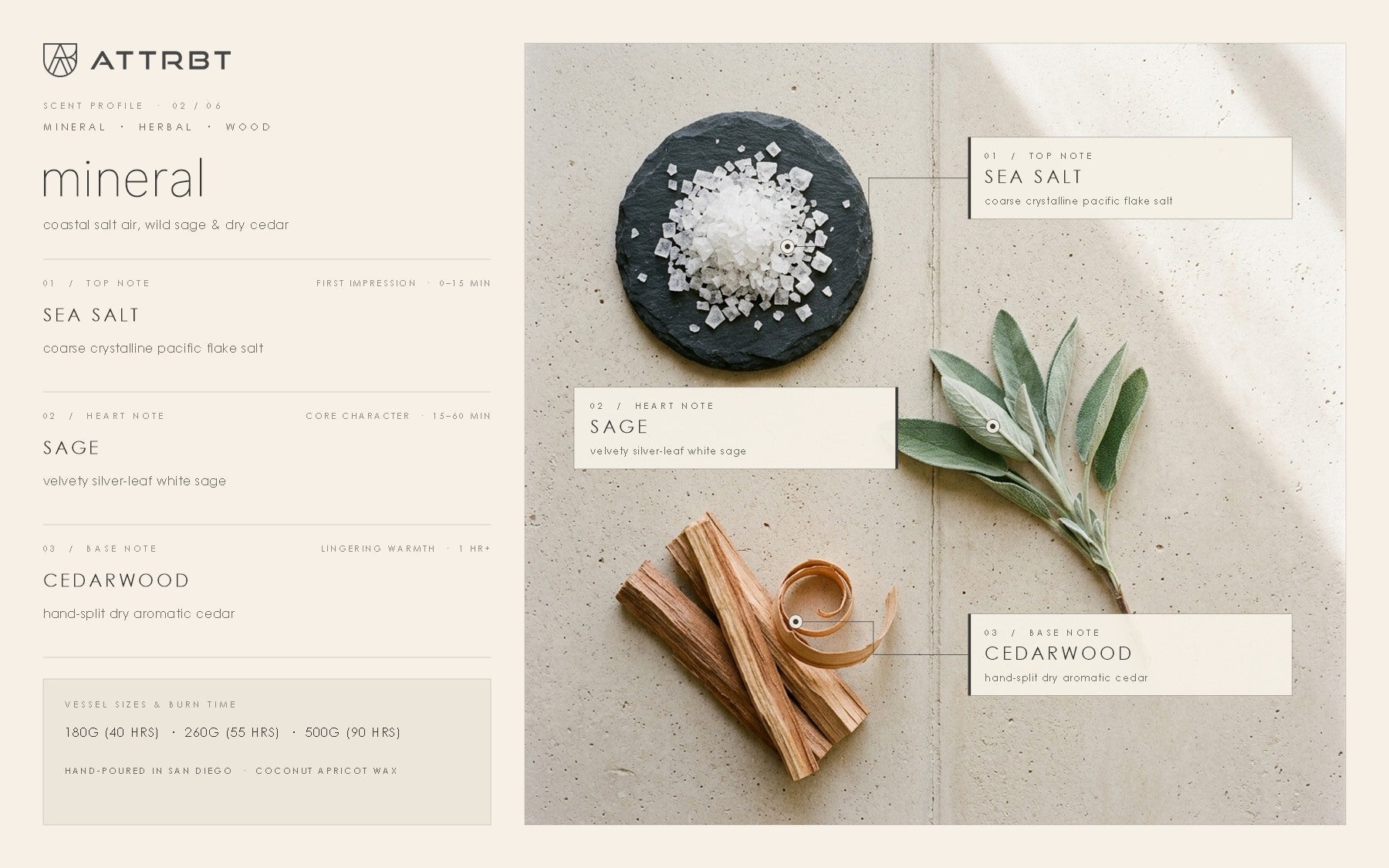 ATTRBT mineral scent profile — top note sea salt, heart note sage, base note cedarwood